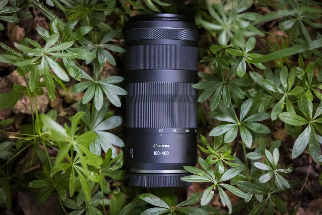 Canon EOS R7+ RF 24-105mm + RF 100-400mm – Bild 11