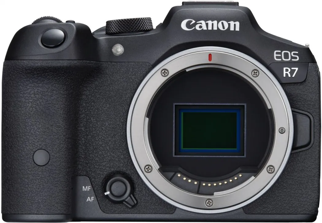 Canon EOS R7+ RF 24-105mm + RF 100-400mm – Bild 4