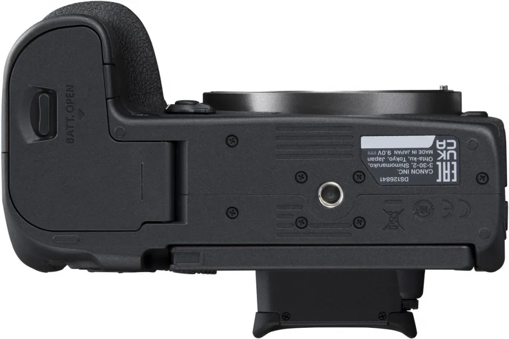 Canon EOS R7+ RF 24-105mm + RF 100-400mm – Bild 8