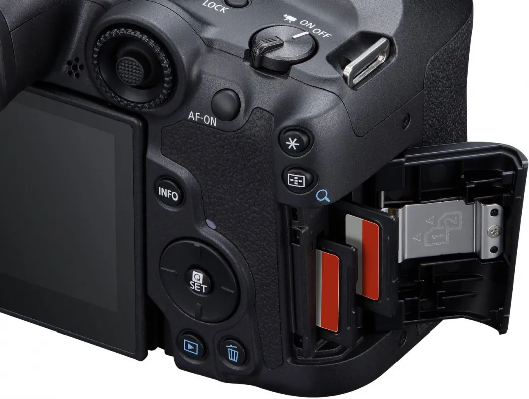 Canon EOS R7+ RF 24-105mm + RF 100-400mm – Bild 6